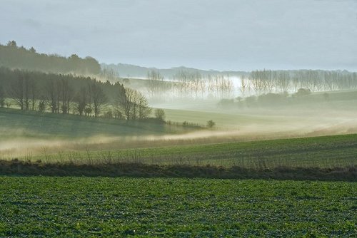 Morning mist at Bottlebush Down, Dorset