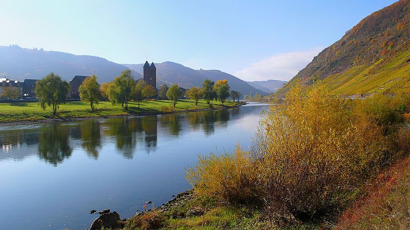 View from the banks of the Mosel in Rhineland-Palatinate