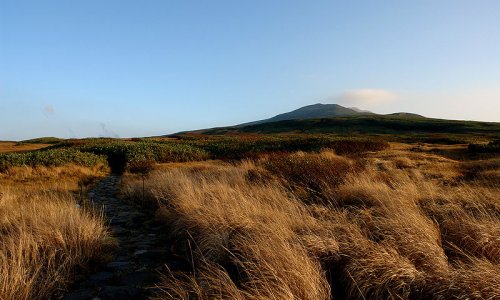 Walking trail to Mount Gassan, the highest of the Three Mountains of Dewa