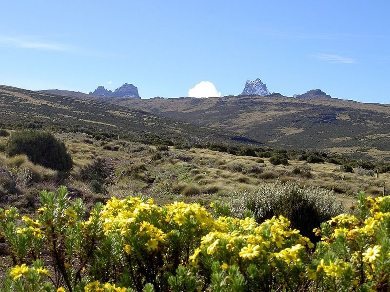 Mount Kenya landscape