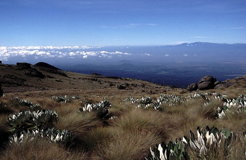 Mount Kenya panorama