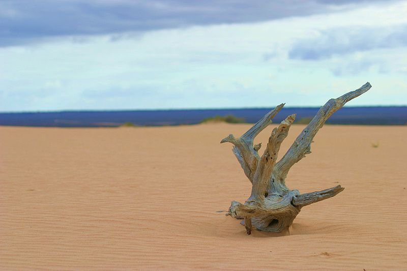 Mungo National Park