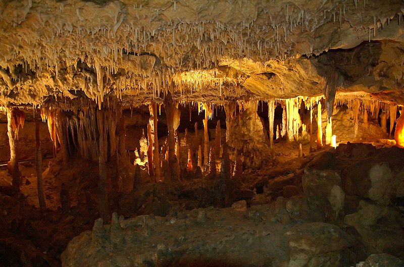 Naracoorte Caves