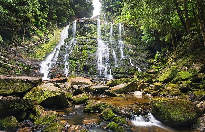 Nelson Falls, Tasmania