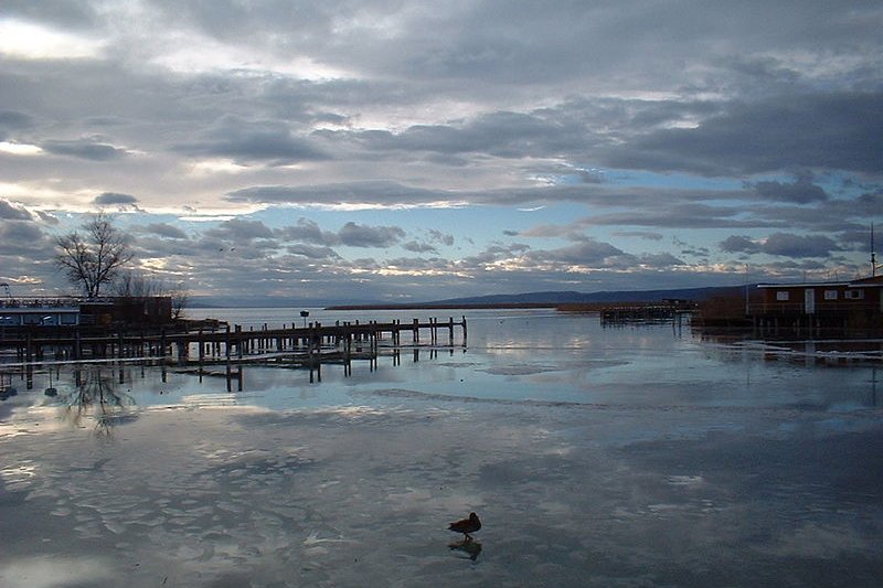 Neusiedler Lake in winter