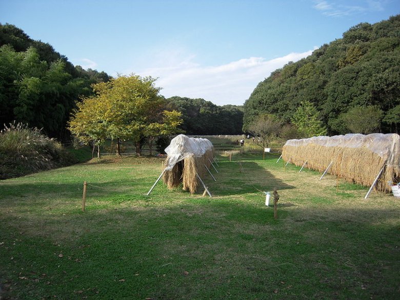 Noyamakita-Rokudohyama Garden in Musashimurayama, Tokyo