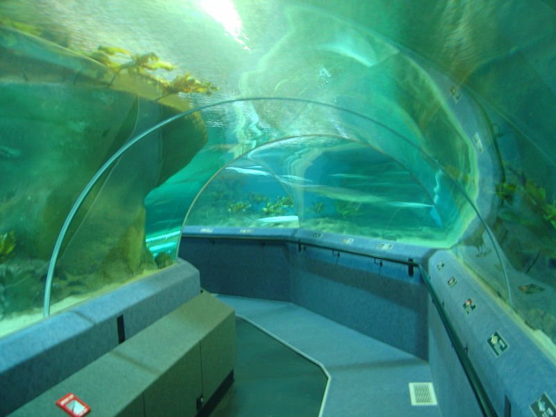 Oceanarium tunnel at the National Aquarium of New Zealand, Napier