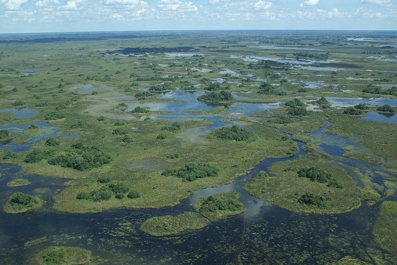 Okavango Delta, Botswana