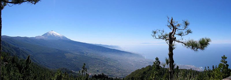 Orotava Valley, Tenerife