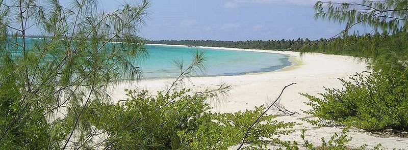 Beach in Ouvea, New Caledonia