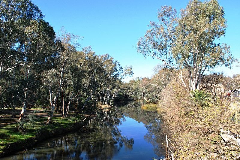 Ovens River, Wangaratta