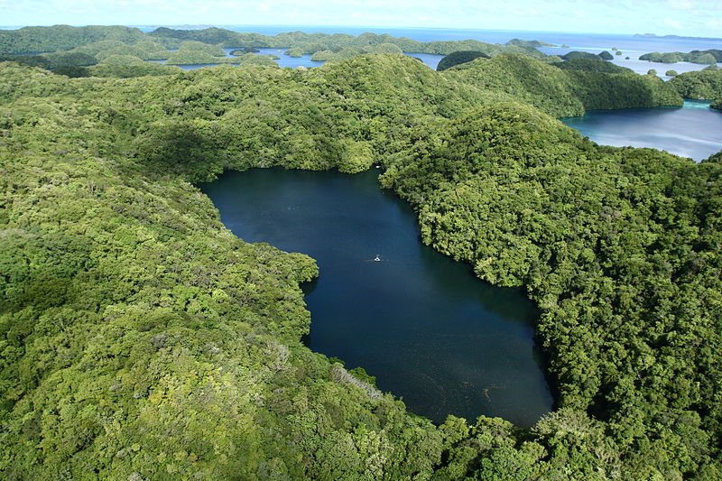 Jellyfish Lake of Palau