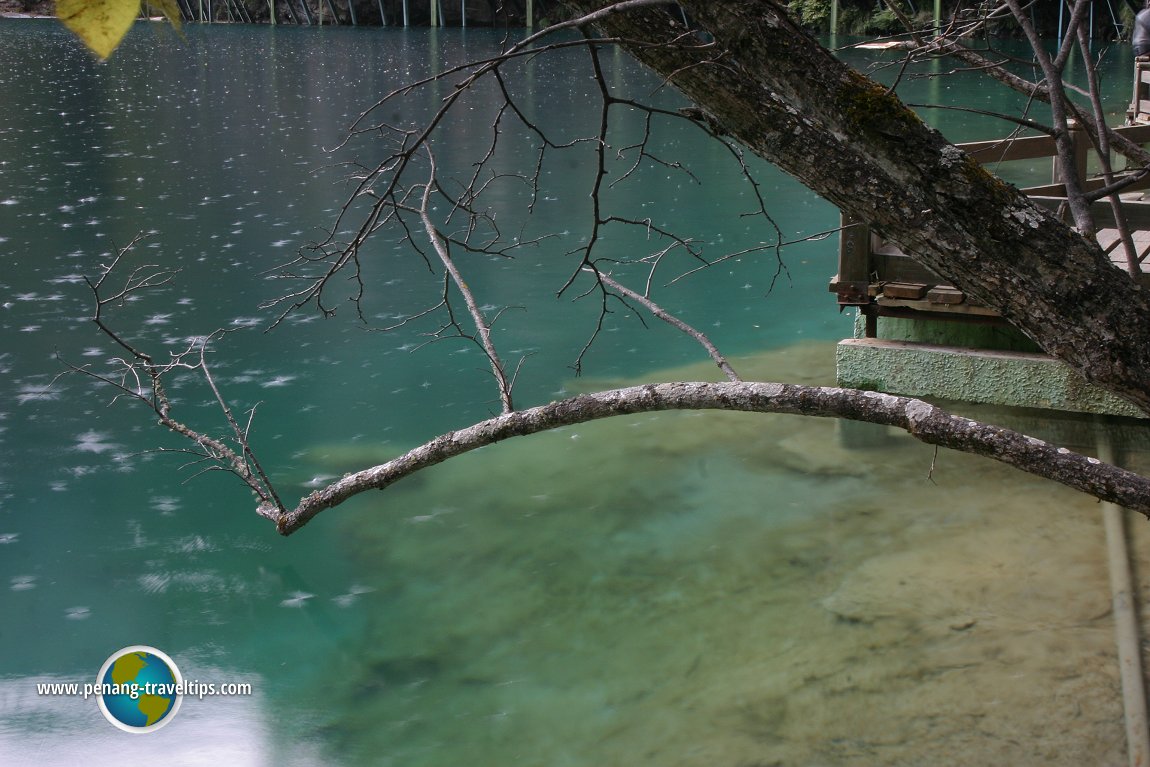 Panda Lake, Jiuzhaigou