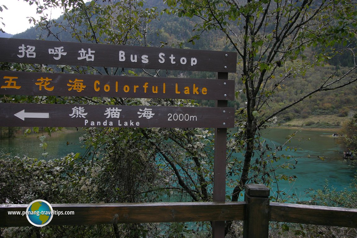 Panda Lake, Jiuzhaigou