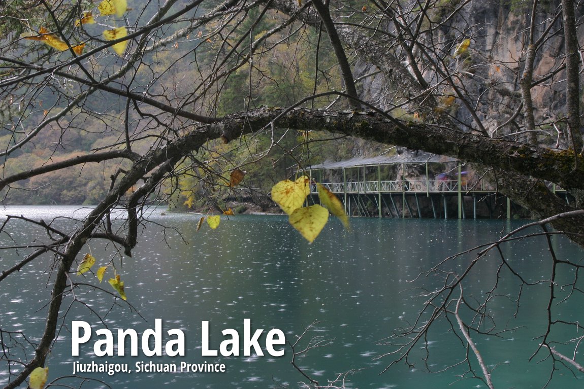 Panda Lake, Jiuzhaigou