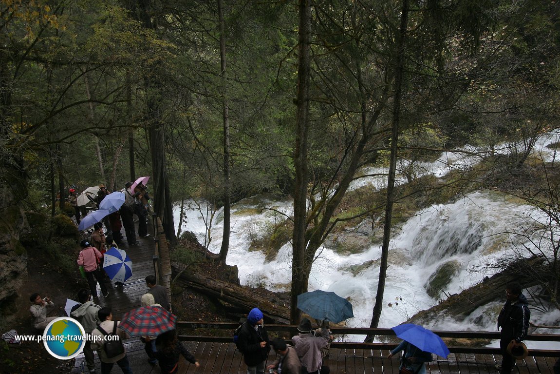 Panda Waterfall, Jiuzhaigou