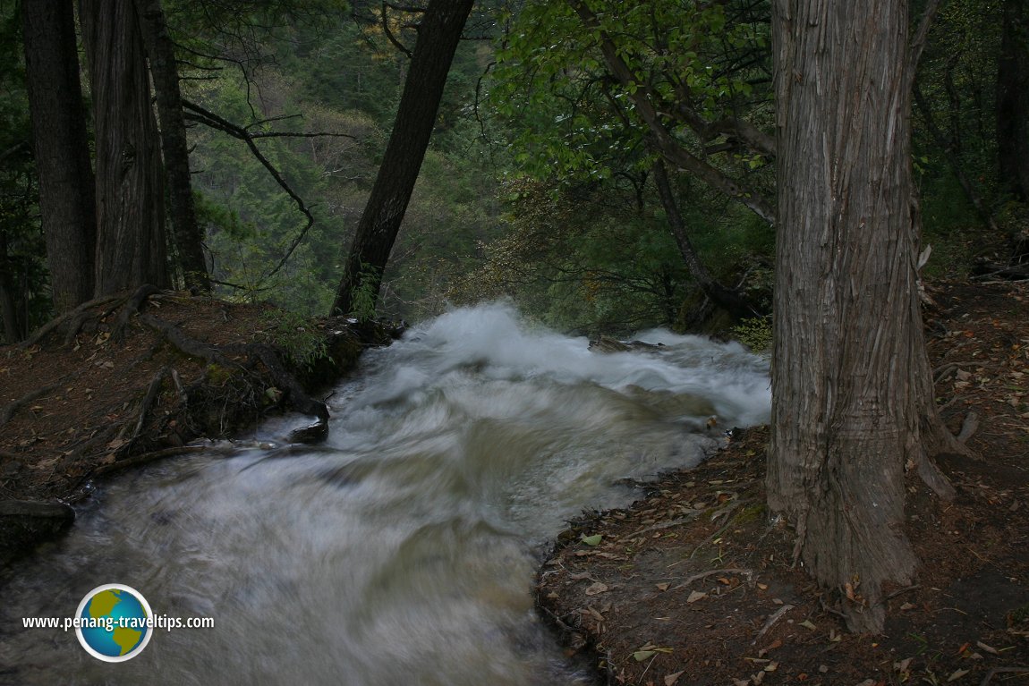 Panda Waterfall, Jiuzhaigou