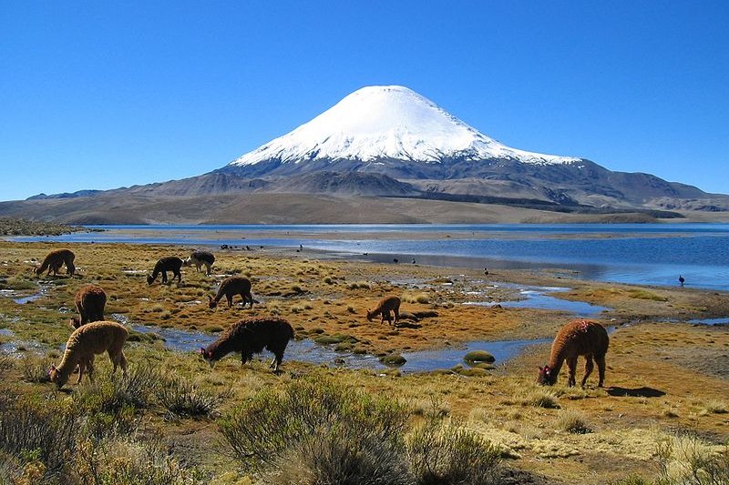 Parinacota Volcano, Chile