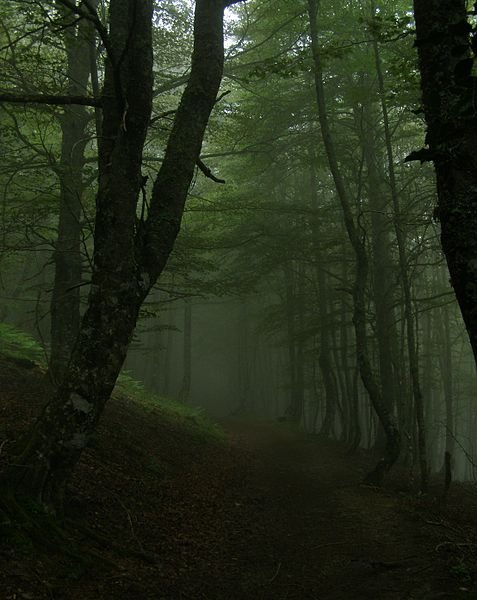 Parque Natural de Redes, Asturias