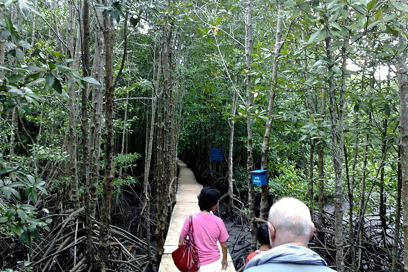 Peam Krasop Wildlife Sanctuary in Koh Kong, Cambodia