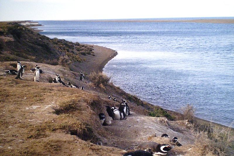 Peninsula Valdes, Argentina