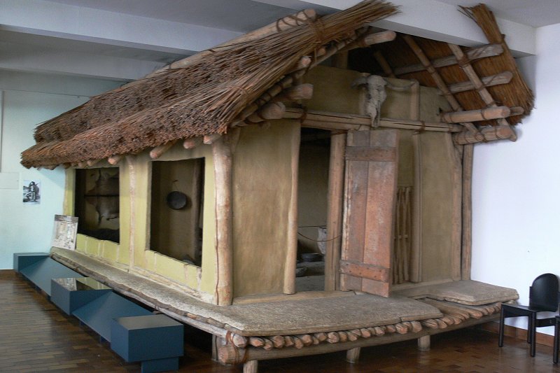 Pile dwelling replica