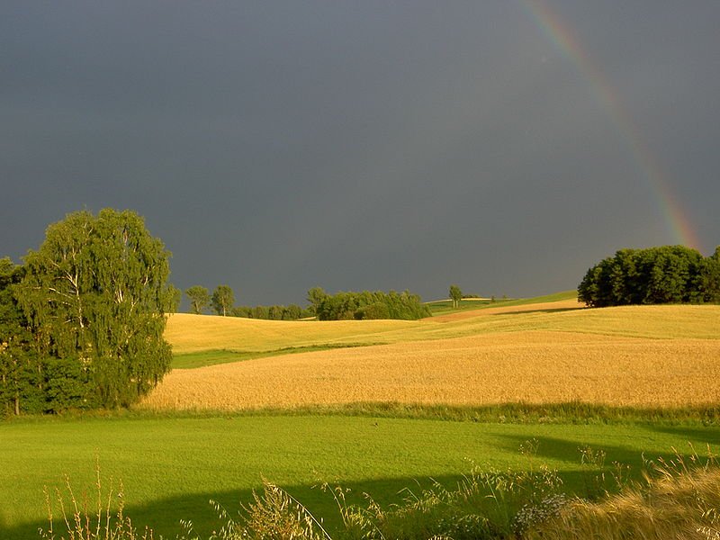 Landscape in the village of Tauroszyszki, Poland