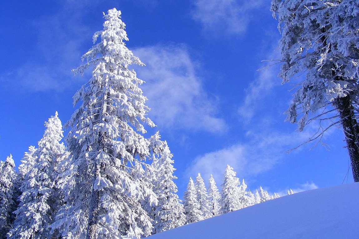 Postavaru Mountain, Romania, in winter