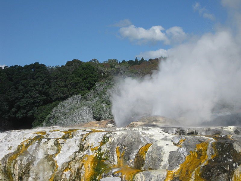 Prince of Wales Hotspring, Rotorua