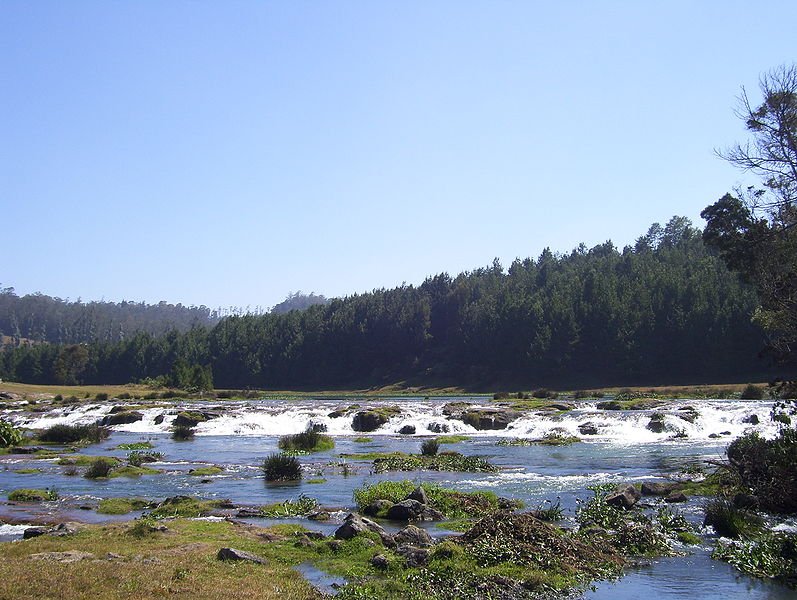 Pykara Waterfall, Tamil Nadu