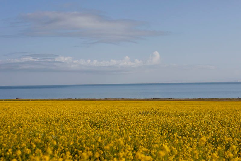 Qinghai Lake