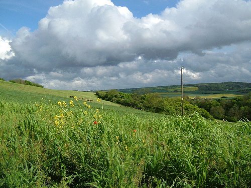 Ranscombe Farm Nature Reserve, Cuxton, Kent