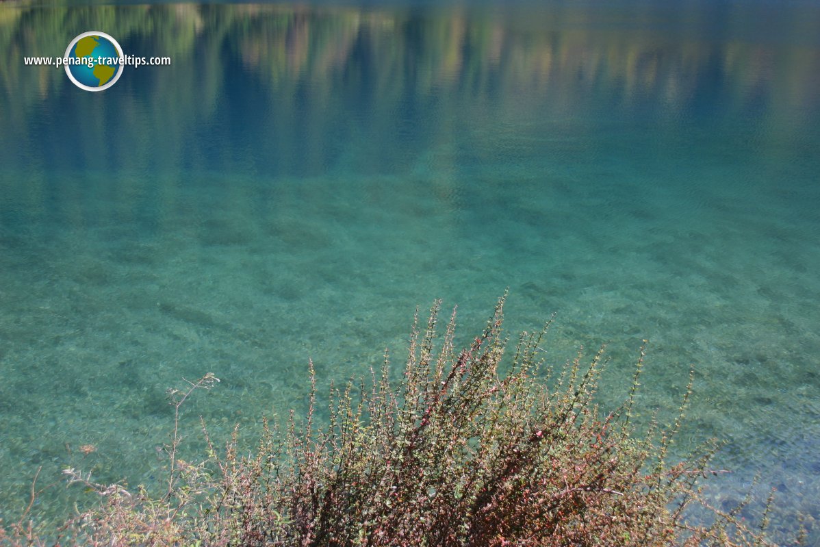 Rhinoceros Lake, Jiuzhaigou