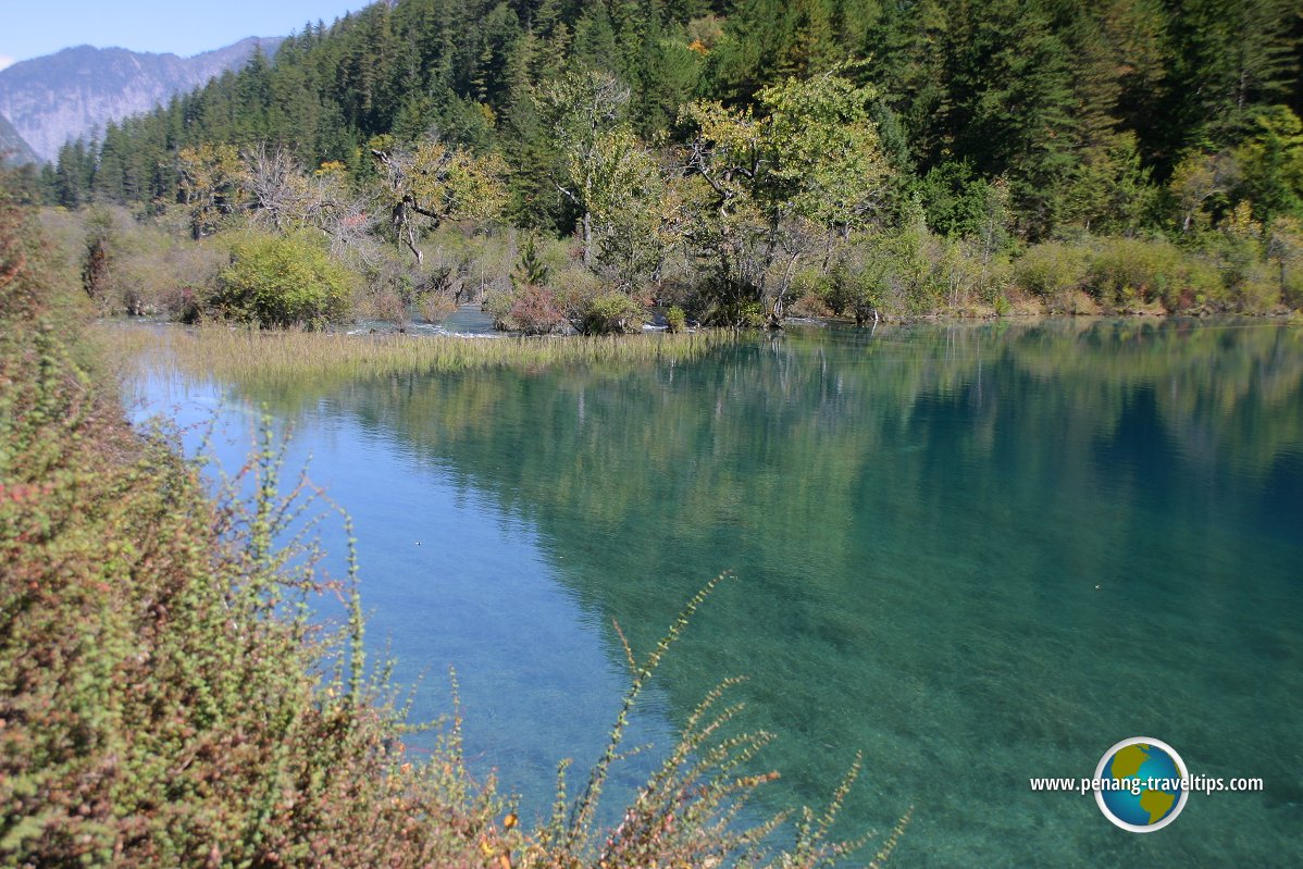 Rhinoceros Lake, Jiuzhaigou