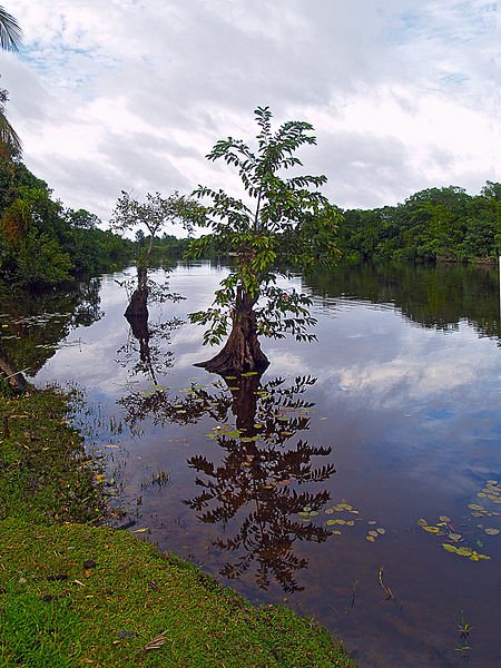 Rio Platano, Punta Izopo National Park