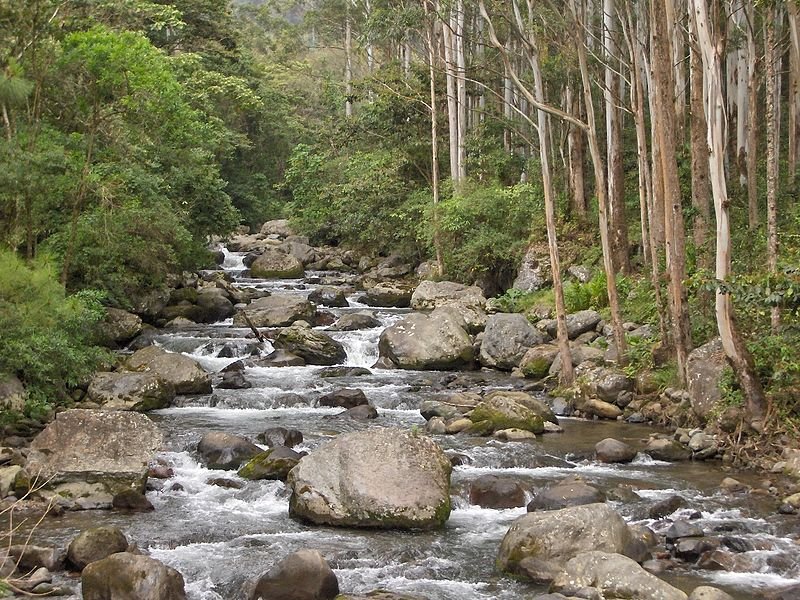 River in Boquete, Panama