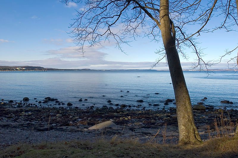 The Baltic coast of Rügen near Binz, looking towards Prorer Wick, Mecklenburg-Western Pomerania