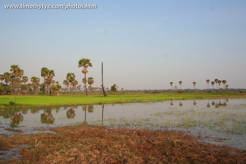 Rural Scenery outside Siem Reap