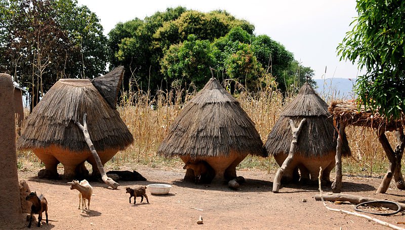 Thatch huts, Benin