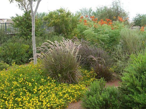 Acacia Demonstration Gardens, Henderson, Nevada