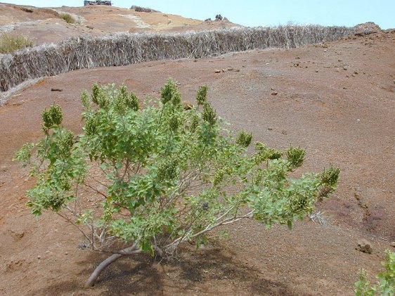 Arid landscape of Lua Makika on Kahoolawe