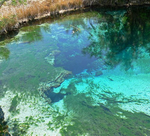 Ash Meadows Crystal Spring