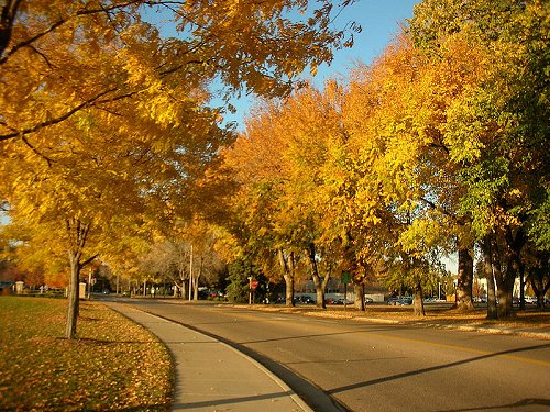 Autumn at Colorado State University, Fort Collins