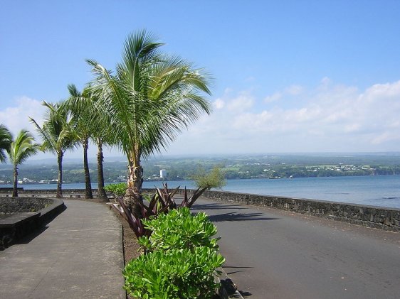 Banyan Drive, Hilo Bay