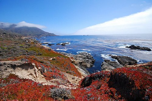 Big Sur vista