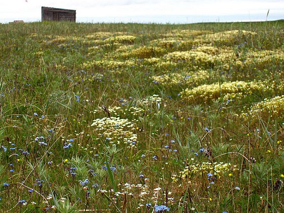 Cape Krusenstern National Monument & Archaeological District, Alaska