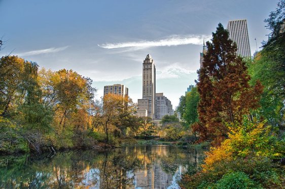 Central Park, New York City