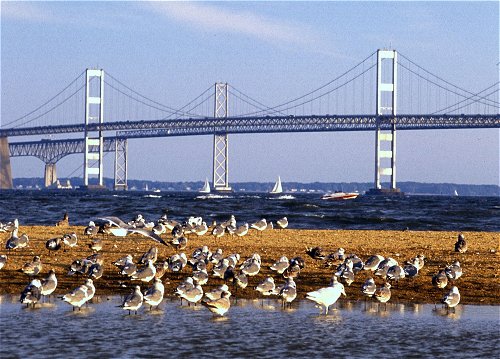Chesapeake Bay Bridge, Maryland