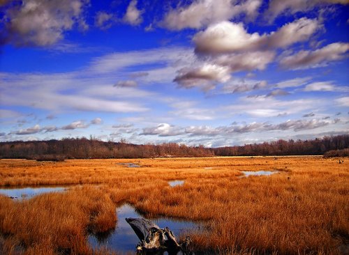 Gouldsboro State Park, Pennsylvania