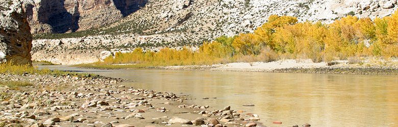 Green River, Dinosaur National Monument, Utah